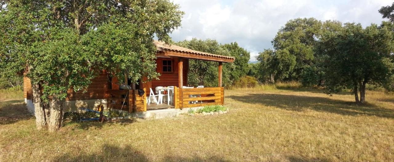 Chalet Climatise Porticcio Corse Fontanaccio Bagian luar foto